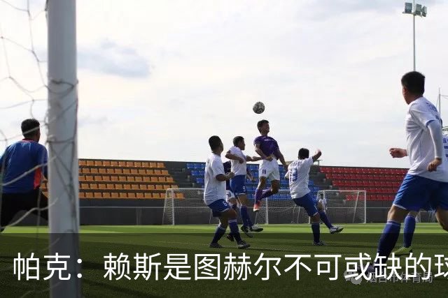 帕克：赖斯是图赫尔不可或缺的球员，是所有教练梦寐以求的中场